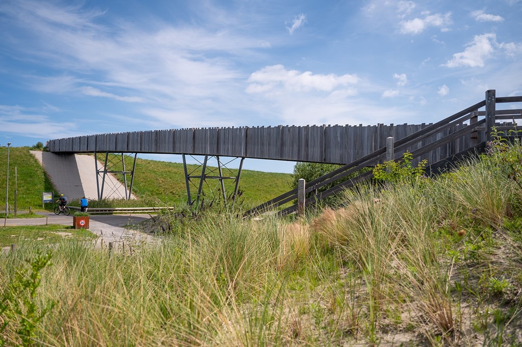 TAKK Juli 2023 -  Ekkow Photography -27_websize.jpg